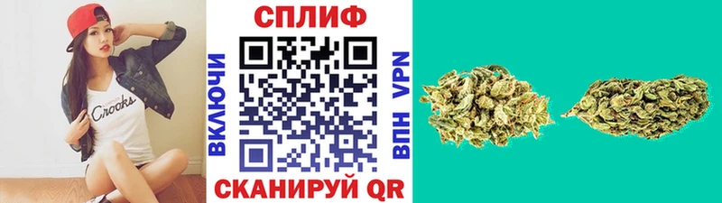 Купить наркоту Карачев Кокаин А ПВП Меф ссылка на мегу ТОР АМФ Конопля ГАШ