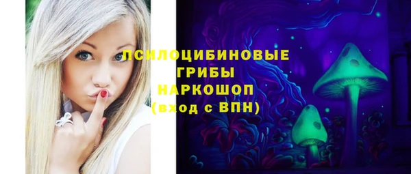 хмурый Верхний Тагил