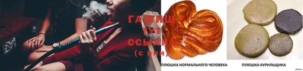 стаф Володарск