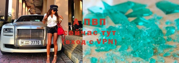 стаф Володарск