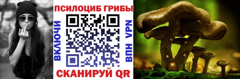 Псилоцибиновые грибы Cubensis  Карачев 